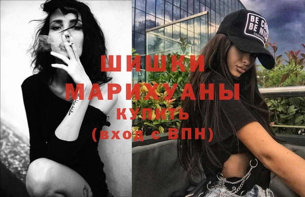 прущие крисы Бородино