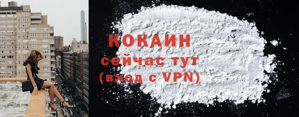 прущие крисы Бородино