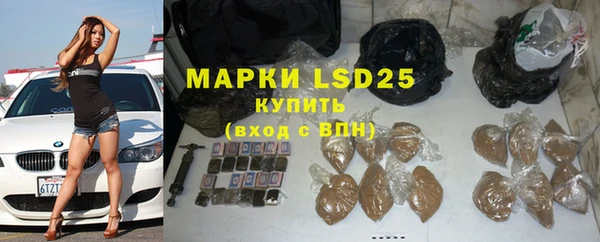 прущие крисы Бородино